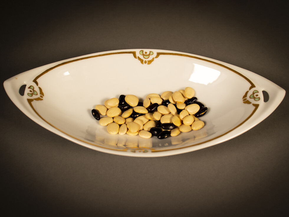 Holy Names History – Voting Beans | Sisters of the Holy Names